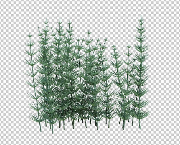 3d render brush tree isolado no branco