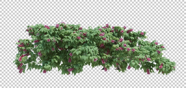 PSD 3d render brush tree isolado