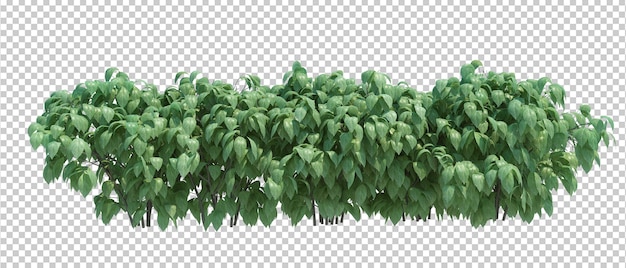 3d render brush tree isolado