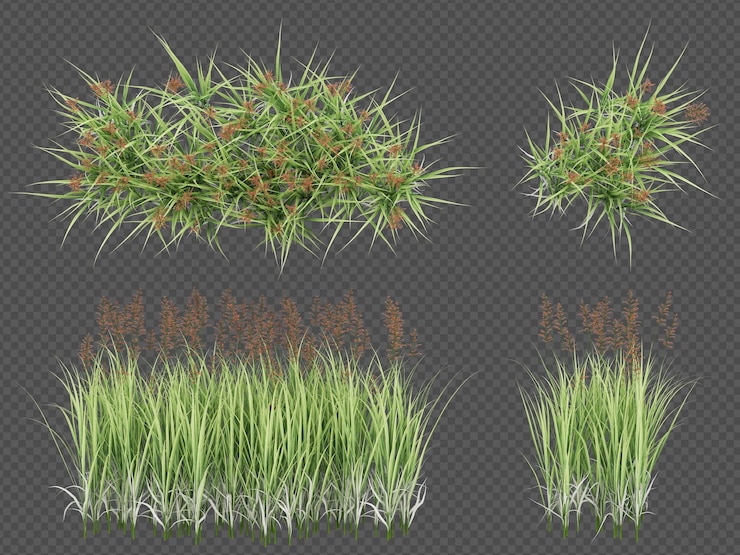 PSD 3d render brush tree isolated on white