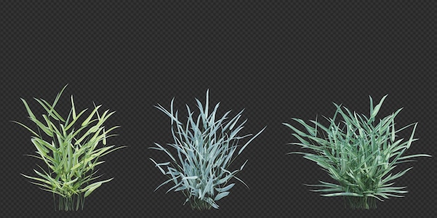 PSD 3d render brush tree isolated on white