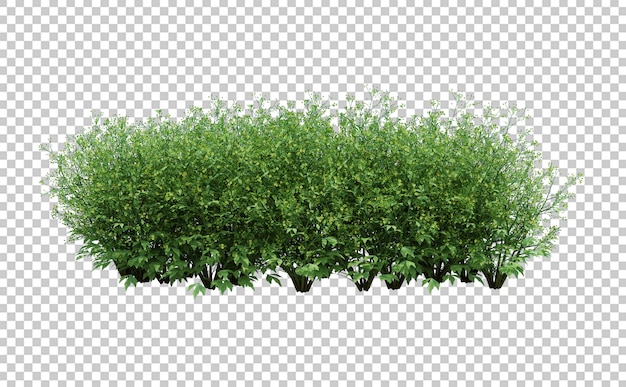 3d Render Brush Tree isoliert