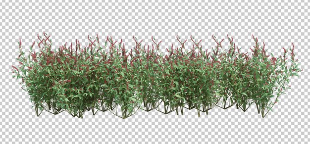 3d render brush tree isoliert