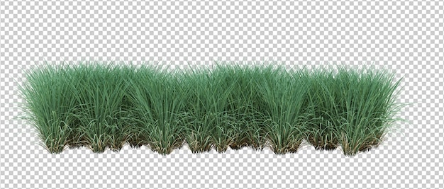 3d Render Brush Tree isoliert