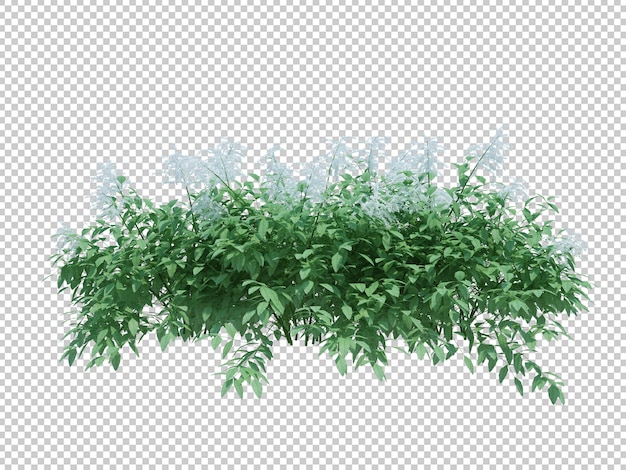 3d Render Brush Tree isoliert