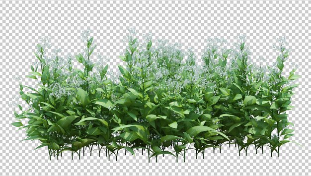 3d Render Brush Tree isoliert