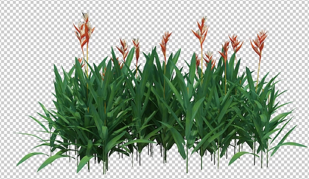 3d Render Brush Tree isoliert