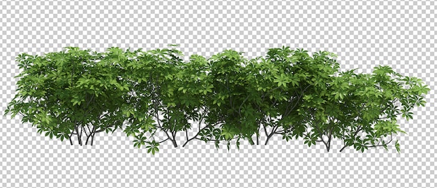 3d Render Brush Tree isoliert