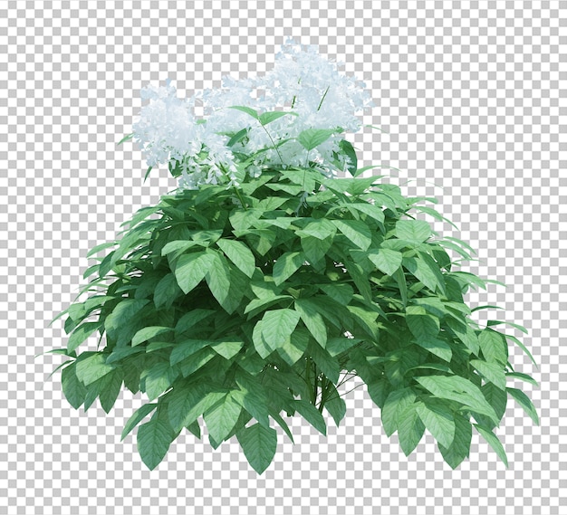 3d Render Brush Tree isoliert