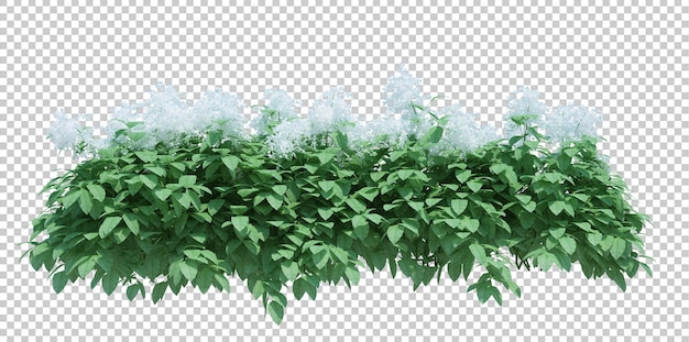 3d Render Brush Tree isoliert