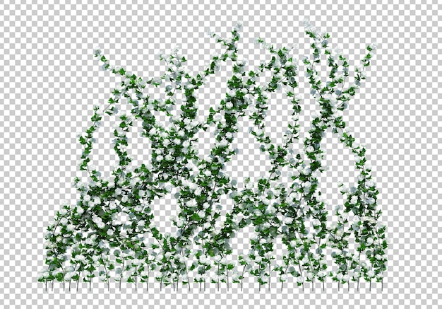 3d render brush tree isoliert