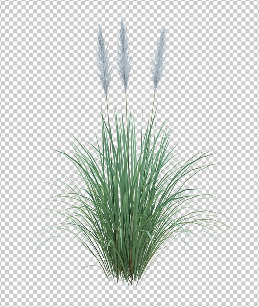 3d render bush con flores aisladas