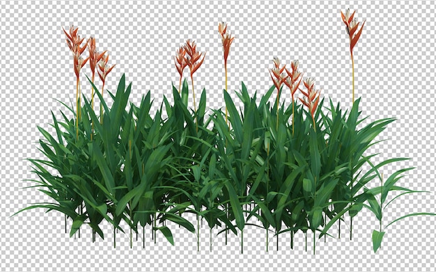 3d render cepillo de árbol aislado