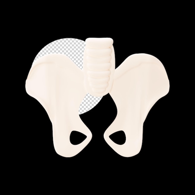 3D-Render des Schambein-Elements vor schwarzem Hintergrund