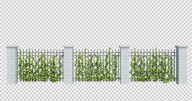 3D-Render-Efeu-Pflanzen isoliert
