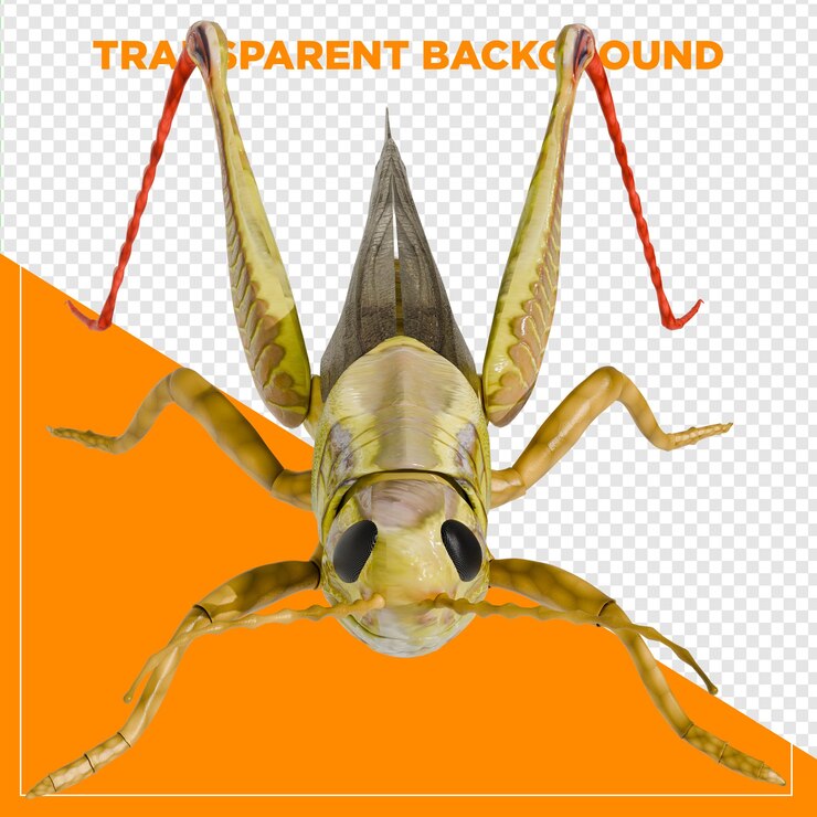 PSD 3d render green grasshopper animal em close-up com fundo transparente