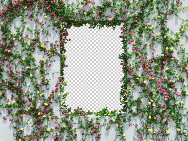 PSD 3d render ivy plants isoladas