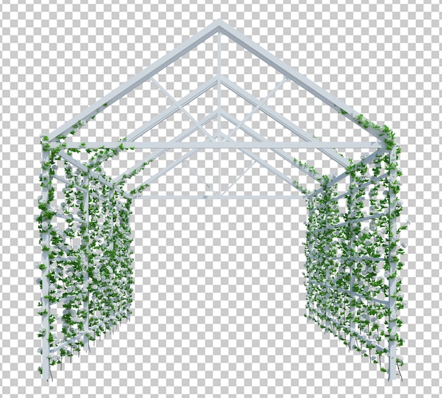 3d render ivy plants isoladas