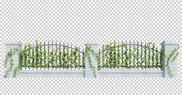 PSD 3d render ivy plants isoladas