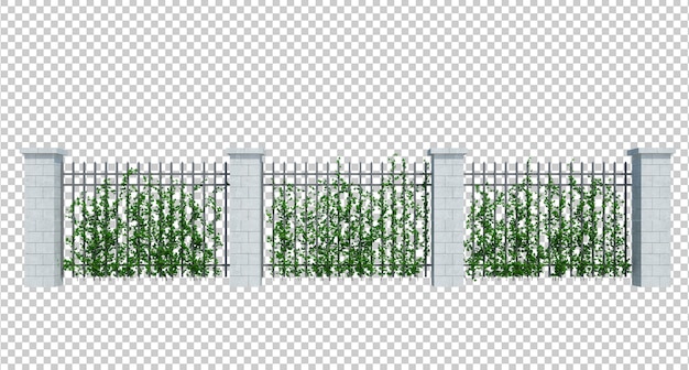 3d Render Ivy Plants isoliert auf weißem Hintergrund