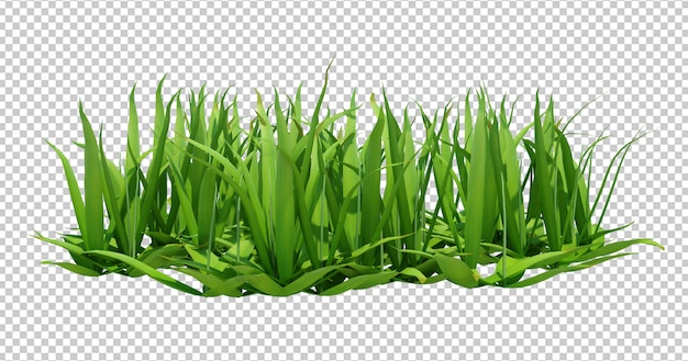 3d Render of long green grass