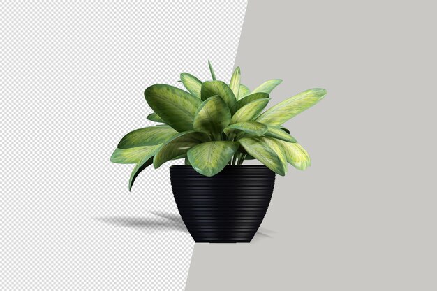3D-Render Pinselbaum isoliert