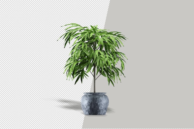 3D-Render Pinselbaum isoliert