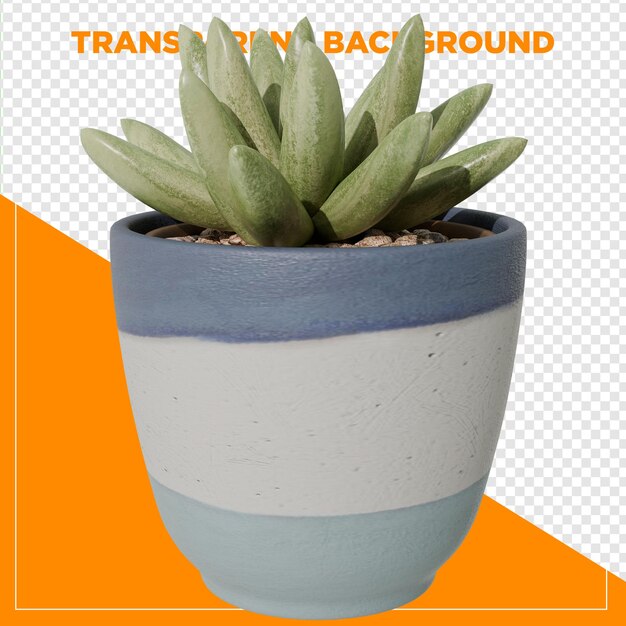 3d render planta suculenta em vaso com fundo transparente