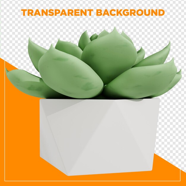 3d render planta suculenta en jarrón con fondo transparente