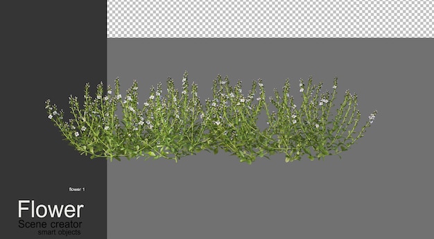3d render variedade de flores
