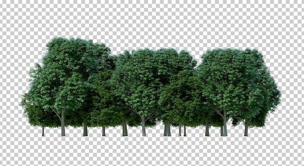 3D render vista frontal da árvore da floresta