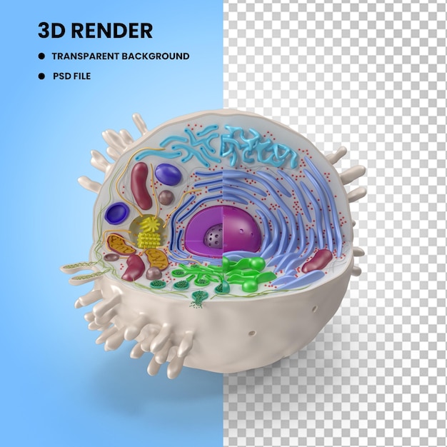 3D Rendered Animal Cell TriCycle Bike Energy Saver Bulb