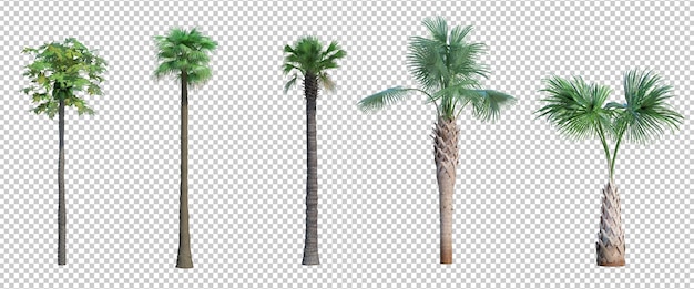 3D-Rendering-Baum isolierter Schnitt-Hintergrund