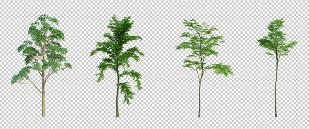 3D-Rendering-Baum isolierter Schnitt-Hintergrund