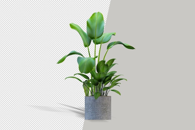3D-Rendering der isometrischen Pflanze