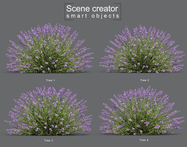 3d-rendering des lavendelbaumszenenschöpfers