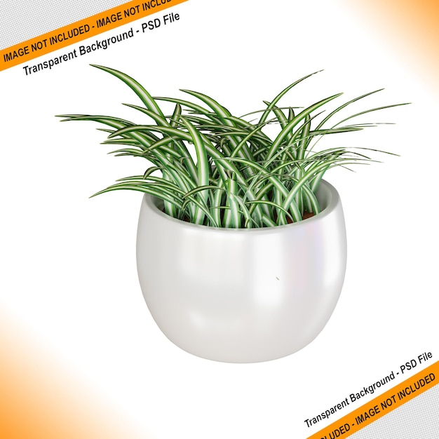 3d-rendering-design von zierpflanzen für heimdekorationsbedürfnisse