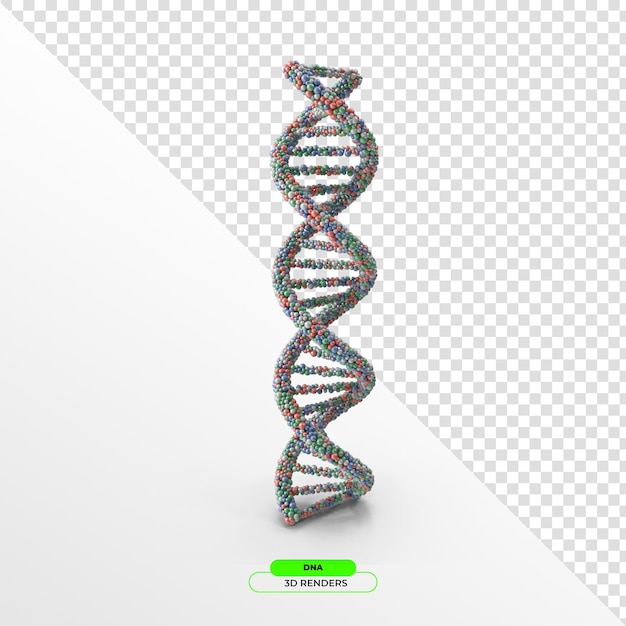 3D-Rendering eines DNA-Doppel-Helix-Modells