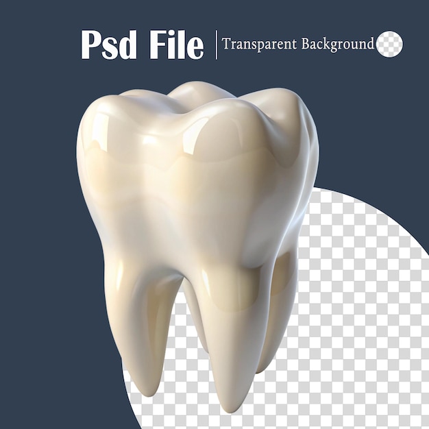 3D-Rendering eines gesunden Zahns mit durchsichtigem Hintergrund