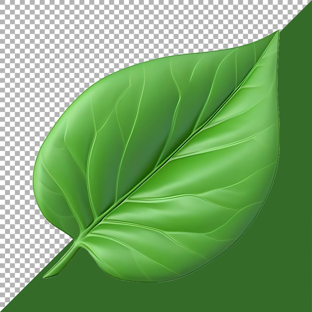 3d-rendering eines grünen blattes auf durchsichtigem hintergrund ai generiert
