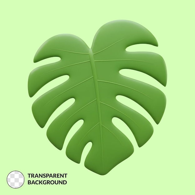 3D-Rendering eines Monstera-Deliciosa-Blattes auf einem durchsichtigen Hintergrund