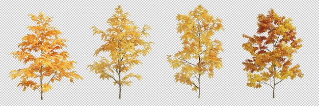3D-Rendering Herbstbaum isoliert geschnittenen Hintergrund