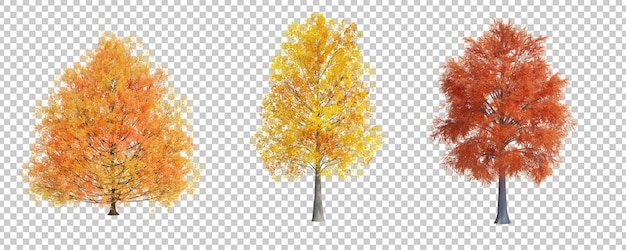 3D-Rendering Herbstbaum isoliert geschnittenen Hintergrund