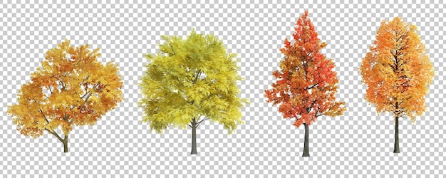 3D-Rendering Herbstbaum isoliert geschnittenen Hintergrund