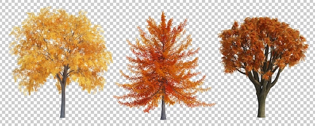 3D-Rendering Herbstbaum isoliert geschnittenen Hintergrund