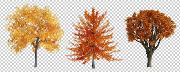 PSD 3d-rendering herbstbaum isoliert geschnittenen hintergrund