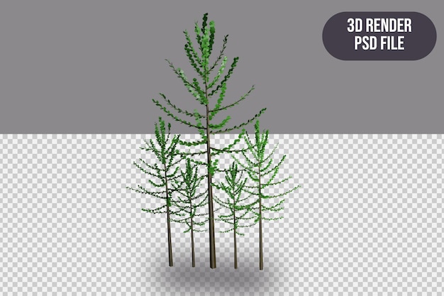 PSD 3d-rendering hohe bäume 3d-objekt-rendering