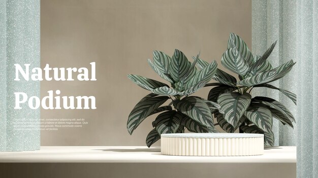 PSD 3d-rendering-mockup-vorlage, grünes terrazzo-zylinder-podium in landschafts-calathea-pflanze und weißer wand