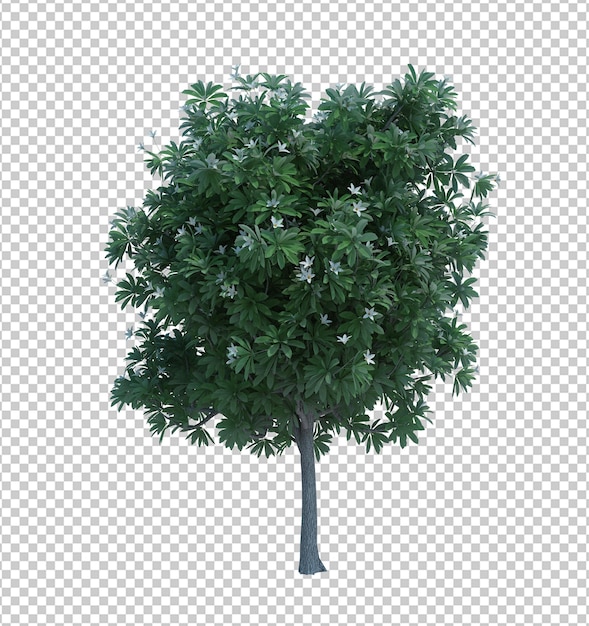 3D-Rendering Naturobjektbaum isoliert