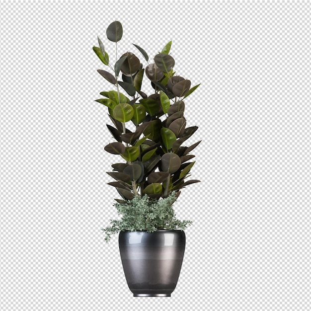 3D-Rendering Naturobjektbaum isoliert